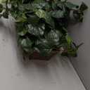 Nearly Natural Pothos with Ledge Basket, Green,34x18x15