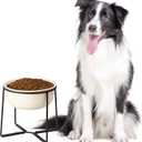 Ceramic Elevated Dog Food Bowl - Heavyweight Feeding Bowl with Metal Stand - Raised Pet Dish for Medium and Larges Dogs - 3.5 Cups - 54 oz - Beige