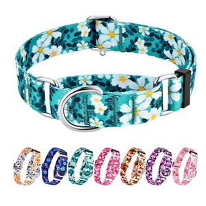 Hikiko Martingale Collar for Female Dogs - Floral Design, No Buckle, Nylon, No Pull, Medium, Green Flower