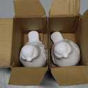 2PCS Ceramic Bird Figurines Decorative Bird Ornaments Statue for Home Garden Decor (White)