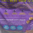 Tiki Cat Born Carnivore High Protein, Chicken, Herring & Salmon Meal, Grain-Free Baked Kibble to Maximize Nutrients, Dry Cat Food, 5.6 lbs. Bag (89.6 Fl Oz (Pack of 1)), BB Date: 01/22/2027