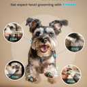 Oneisall 4 in 1 Dog Grooming Kit with LCD Display, Dog Hair Trimmer for Paw Nail Grinder, Rechargeable Cordless Low Noise IPX7 Waterproof Pet Clippers