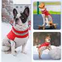 Small Dog Coat,Dog Jackets for Small Dogs,Warm Winter Jacket, Puppy Coat with Harness Built in,Waterproof Dogs Jacket,Puppy Cold Weather Coats,Pet Winter Clothes Snowsuit Shih Tzu Bichon,Red
