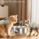 Cat Water Fountain Stainless Steel: Cat Fountain for Drinking - 88oz/2.6L Pet Water Fountain for Cats Indoor - Quiet Cats Water Bowl Dispenser - Pets Feeding & Watering Supplies - for Small Animals