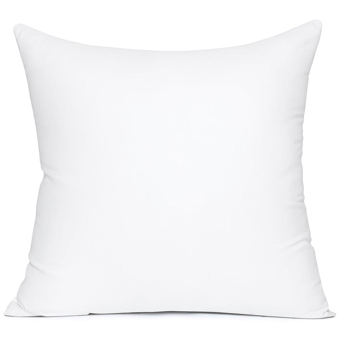 MIULEE 24x24 Inch Throw Pillow Insert Premium Throw Pillow Polyester Microfiber Stuffer Pillow for Sofa Bed Couch