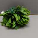 Anderson's Hanging 5" Mistletoe or Kissing Ball  Christmas, Christmas in July, Bridal Showers, Weddings, Parties & Holiday Dcor for Home, Office, Events & Gift Giving