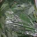 Artificial Italian Ruscus Greenery Stems, 20 Pack Faux Green Leaf Garland Branches Hanging Greenery Spray for Wedding Bouquet Arch Table Centerpiece Home Decor