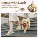 Rabbitgoo Dog Harness Small Sized and Leash Set, Step in Soft Light Puppy Vest, Breathable Mesh Pet Harness, Reflective for Safe Easy Walking, Brown & Beige, M