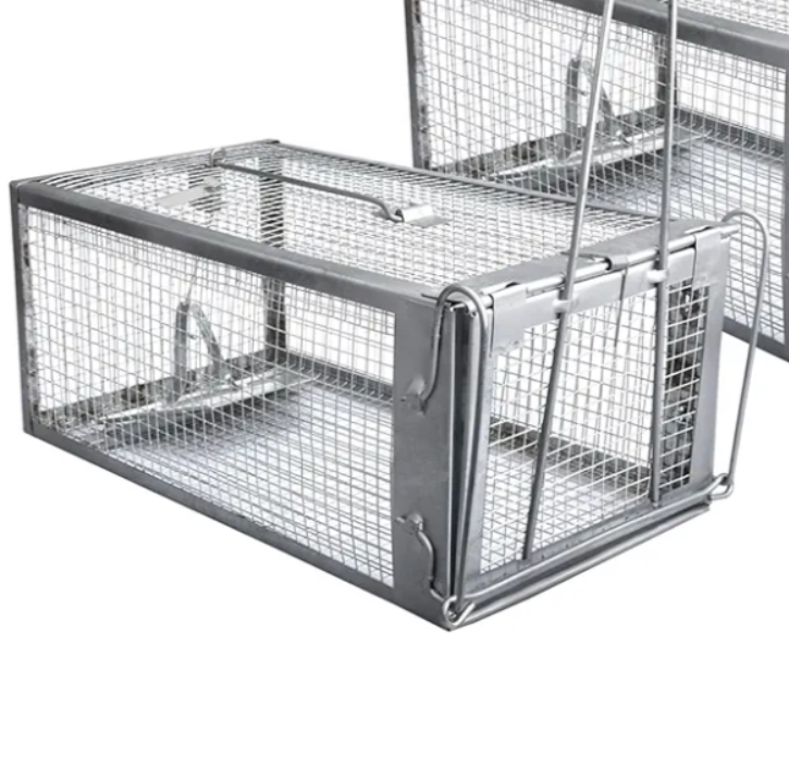 Gingbau 1-Pack Chipmunk Traps Humane Live Mouse Rat Cage Traps for Indoors and Outdoors
Amazon's Choice