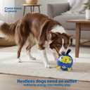 Race&Herd 6" Jolly Soccer Ball for Dogs - Tough Durable Dog Ball Toy with Straps, Pet Bouncy Herding Balls for Dogs, Floating Dog Balls with Tags for Water Fetch, BaaBaaBall (Blue)