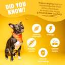 Freeze Dried Dog Treats - Cage-Free Chicken Liver - Dog Food Dry Snacks - with Protein & Omega 3s - for All Breeds & Sizes - No Artificial Flavors & Dyes, No Preservatives - 1 Pouch, 4 oz