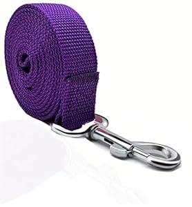 TAIAN 4FT/ 5FT/ 6FT Strong Dog Leash, Nylon Dog Leashes for Small Medium Large Dogs (Purple, 1 in x 10 ft)