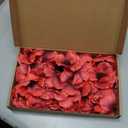 50Pcs Poppy Artificial Flowers Fake Poppies Head with Flower Branch for Veterans Day Remembrance Bouquet Memorial Day Corsages Home Kitchen Floral Wreath Garland Cake Ornaments Decoration (Red)