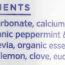 ESSENTIAL OXYGEN Organic Mint Tooth Polish, 2oz