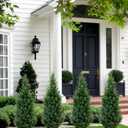 4Ft Artificial Cedar Topiary Trees (4-Pack) - UV Resistant Fake Shrubs with Ground Spike for Outdoor & Indoor Use, Front Porch, Garden Decor