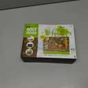 Dan&Darci Root Viewer Kit for Kids - Grow Your Own Plant for Boys & Girls Gifts - Science STEM Toy & Craft Growing Kits for Ages 4-8 Birthday Gifts for Boy, Girl 4, 5, 6, 7, 8, Year Old