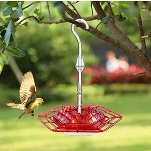 Hummingbird Feeders for Outdoors Hanging with 30 Feeding Ports Saucer Humming Bird Feeder with Integrated Ant Moat Bee-Proof Leak-Proof No Drip, Easy Cleaning and Refill