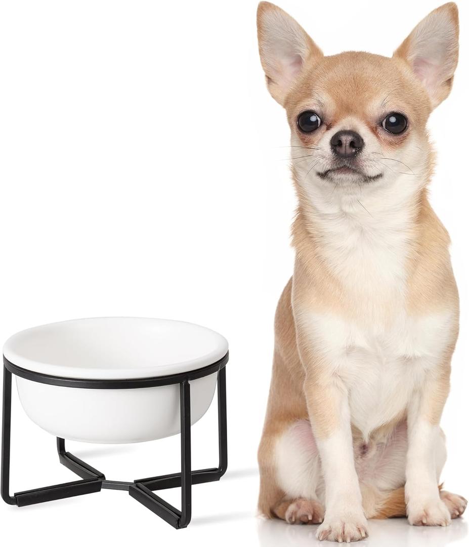 Ceramic Elevated Dog Food Bowl - Raised Dog Dish with Metal Stand - Pet Feeding Bowl for Puppies and Cats - 1 Cup - 13.5 fl oz - Matte White