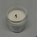 SENSE ISLAND Frosted Fir and Sage Scented Candle for Home Scented, Natural Soy Wax 50 Hrs Burn Time Highly Scented Candle Gifts for Women and Men