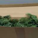 Giegxin 6 Ft Christmas Norfolk Pine Garland Real Touch Cedar Pine Cypress Garland with Red Berries Cones Artificial Greenery Decoration for Fireplace Mantle Table Winter Christmas Holiday Party