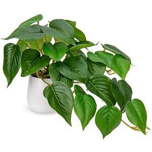 DILATATA Fake Plants Indoor 8 Inch Artificial Pothos Plant in White Ceramic Pot - Faux Potted Pothos Plant for Home Aesthetic Decor Living Room Shelf Office