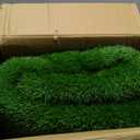 Artificial Grass Outdoor, 5x8 Ft Realistic Artificial Turf Grass Rug, Large Fake Grass for Dogs Indoor Outdoor Garden Lawn Landscape Patios Decoration (5 x 8 Feet)