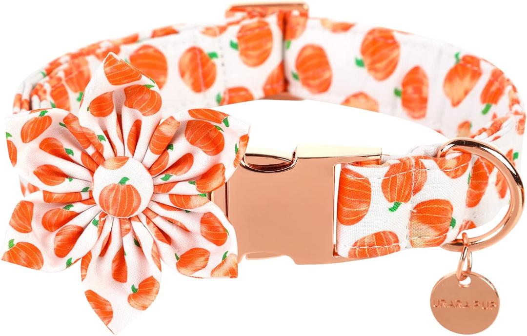 UP URARA PUP Halloween Dog Collar with Flower, Pumpkin Cotton Flower Collar for Small Girl Boy Dog, Fall Dog Collar Flower with Durable Metal Buckle, Adorable Pumpkin Pet Collar, S, Neck 10-16in