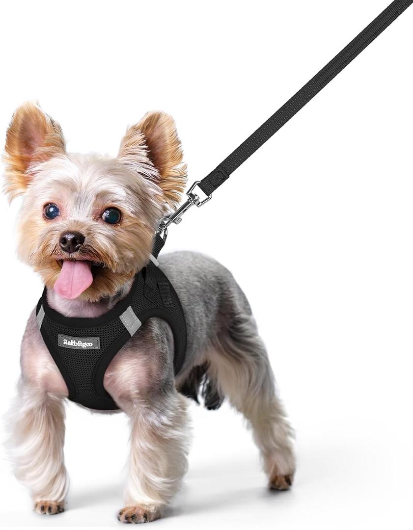 rabbitgoo Dog Harness Small Sized and Leash Set, Step in Soft Light Puppy Vest, Breathable Mesh Pet Harness, Reflective for Safe Easy Walking, Black XS (Xs (chest: 13.3 - 15.5"))