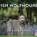 Irish Wolfhound Calendar 2026 Monthly Wall Calender 12 Month | American Made In The USA