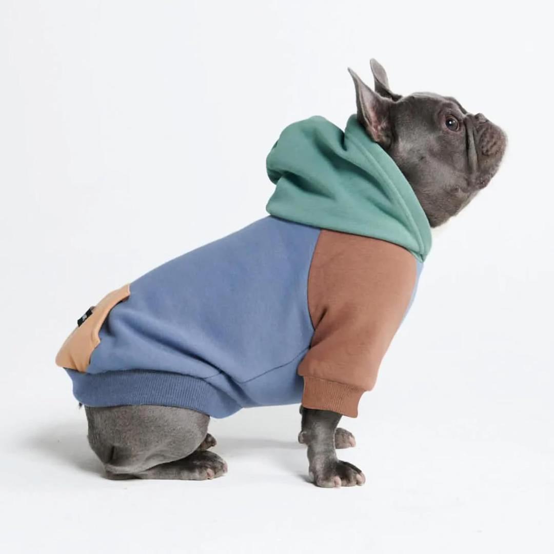 Spark Paws Dog Hoodie Premium Dog Sweater for Small, Medium, and Large Dogs | Warm Outfits for French Bulldogs, Pitbull, Puppy, Winter Jacket Alternative - Alpine - XL