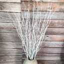 Decorative Birch Branches Decoration, 23 Inch Birch Stems for Wedding Decor,Dried Twigs for Christmas Decor (White)