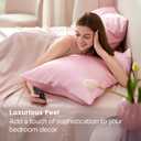 Bedsure Satin Pillowcase 2 Pack Similar to Silk Pillow Cases Standard Size, Pink Pillow Case Covers with Envelope Closure, Home Decor Valentine Gifts for Women Girls,20x26 Inches, 2pcs