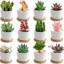 12 Pack Small Succulent Plant Pots with Bamboo Tray,2.5 Inch Mini White Ceramic Plant Pots for Succulent or Cactus, Gifts for Plant Lover, Indoor Home Garden Office Decorations