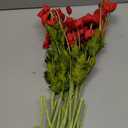 ATFL Red Poppy Flowers Artificia Fake Faux Silk Poppies Bulk with Stems
red poppies, 12-pack 23.5", realistic artificial silk poppy flowers, silk stems perfect for memorial day home wedding decor