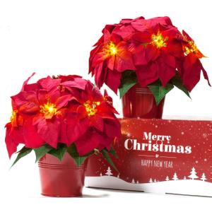 2 Pack Christmas Decorations Pre-Lit Artificial Poinsettia Plant - LED Lighted Faux Poinsettia Flowers(Red,10inch) 2 Pack Christmas Decorations Pre-Lit Artificial Poinsettia Plant - LED Lighted Faux Poinsettia Flowers(Red,10inch)