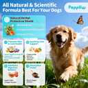 2 x Flea and Tick Prevention Support for Dogs, Natural Flea Treatment Drops with Neem, Oregano for Puppy Oral Flea and Tick Treatment Supplement for All Breeds and Ages - Chicken Flavor, 2 FL.Oz