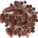 JOHOUSE 40PCS Natural Pine Cones Bulk, Pinecones Decorations Pine Cone Ornaments for Crafts Thanksgiving Christmas Wreath Table Bowl Decor, Winter Vase Filler