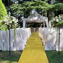 Tatuo Carpet Runner 2.46 x 30 ft Runway Rug 55 GSM Thickness with Carpet Tape for Prom Graduation Wedding Outdoor Indoor Hallway Movie Party Decoration Rug(2.46 x 30 Feet,Glitter Gold)