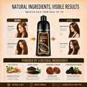 Coffee Hair Dye Shampoo 3 in 1, Instant Hair Color Shampoo, Semi-Permanent Brown Hair Dye, Long Lasting Browm Hair Shampoo, Shampoo Para Pintar el Cabello, Works in Minutes 16.90 Fl Oz