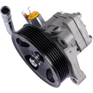 Power Steering Pump with Pulley Replacement for Kia Sedona 2006-2010 Hyundai Entourage 2007-2009 V6 3.8L Mini Passenger Van 571104D200