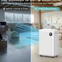 PLUSCENT 32 Pint Dehumidifier for Basement, 2500 sq.ft Dehumidifiers for Home with Drain Hose, 3 Modes, Auto Defrost, 24H Timer, Quiet Smart Humidity Control for Large Room, Bedroom, Bathroom, RV
