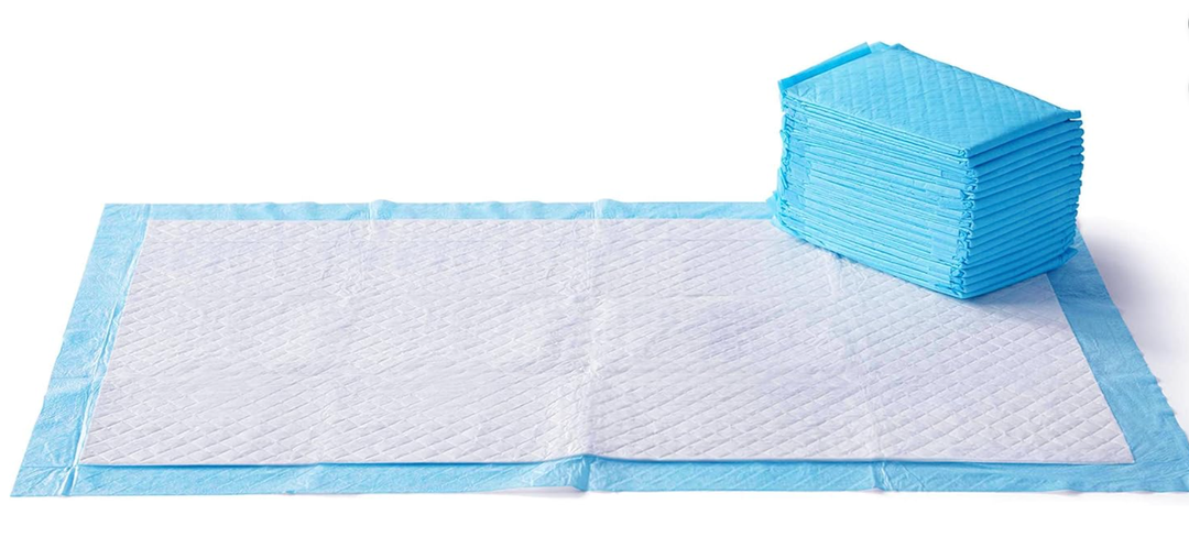 Basics LeakProof Dog and Puppy Potty Training Pee Pads with QuickDry 5Layer Surface, Standard Absorbency, Giant Size, 27.5 x 44 Inch, Blue & White, 40Pack