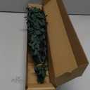 Real Eucalyptus Stems Greenery Decor 20PCS 17" Dried Willow Eucalyptus Plant Preserved Greenery Stems for Home Vase Filler Wedding Flowers Arrangement Spring Decorations