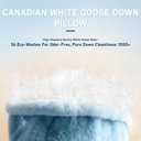 Luxury Canadian White Goose Down Pillows Set of 2, Soft 1450+ Fill Power with 100% Cotton Shell Down Pillow 2 Pack, Queen/Pack of 2