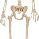 Crazy Bonez Pose-N-Stay Halloween Skeleton, 6 FT  Life-Size, Realistic, Fully Poseable Indoor & Outdoor Decoration, Durable Weather-Resistant Spooky Prop for Yard, Porch, Haunted House