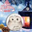 Wise Winter Owl Ornament, Owl Lover Gifts, Nature Lover Gift, Woodland Animals, Forestcore Ceramic Xmas Decoration (C19)