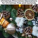 20 Pieces Christmas Pine Cones Decorations Picks - Snow Pine Cone for Xmas Tree Garland Wreath Ornaments Pinecones Decorating Winter Holidays Home