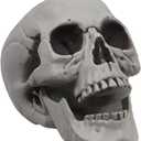 MOKRY PARTY Life Size Skeleton Skull for Halloween Decor Graveyard Outdoor White