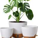 montresor 12/10/8 Inch Self Watering Pots for Indoor Plants Plastic Large Pot for Outdoor Plants, Water Level Window & Spacious Reservoir Flower Pots Decorative Planter with Drainage and Tray (White)