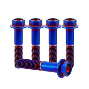 Rison Titanium Flanged Hex Head Bolt M10x1.25x30mm 6AL4V Aerospace Grade Ti Burnt Blue for Motorcycle Car Modification - Pack of 5
